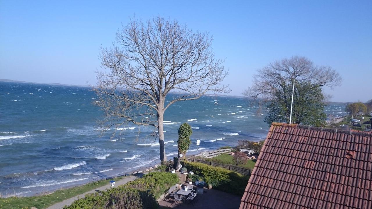 Strandappartements Steinberghaff "Kegnaes" Mit Meerblick Und Sauna Steinberg  Dış mekan fotoğraf